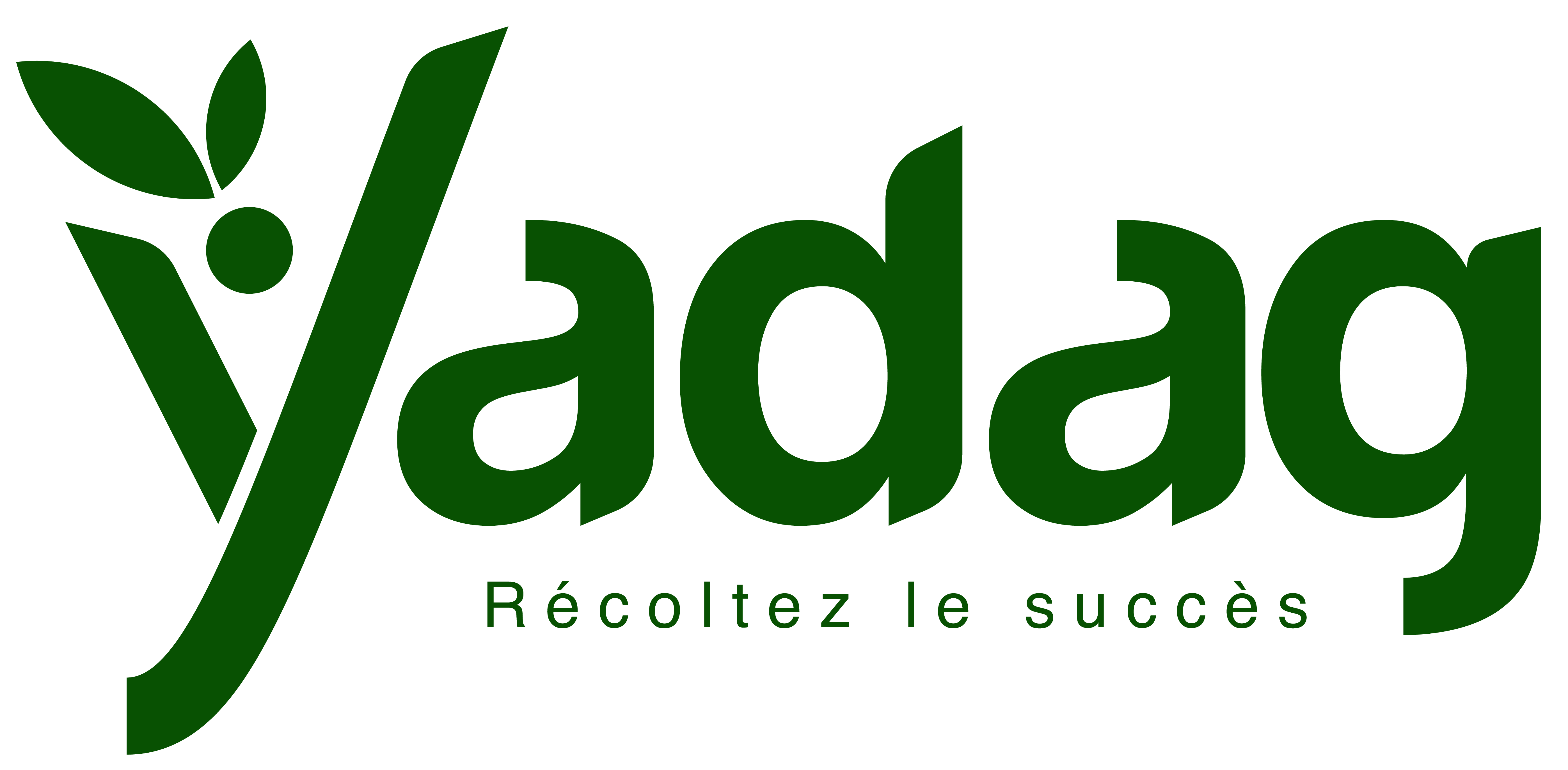 Yadag logo